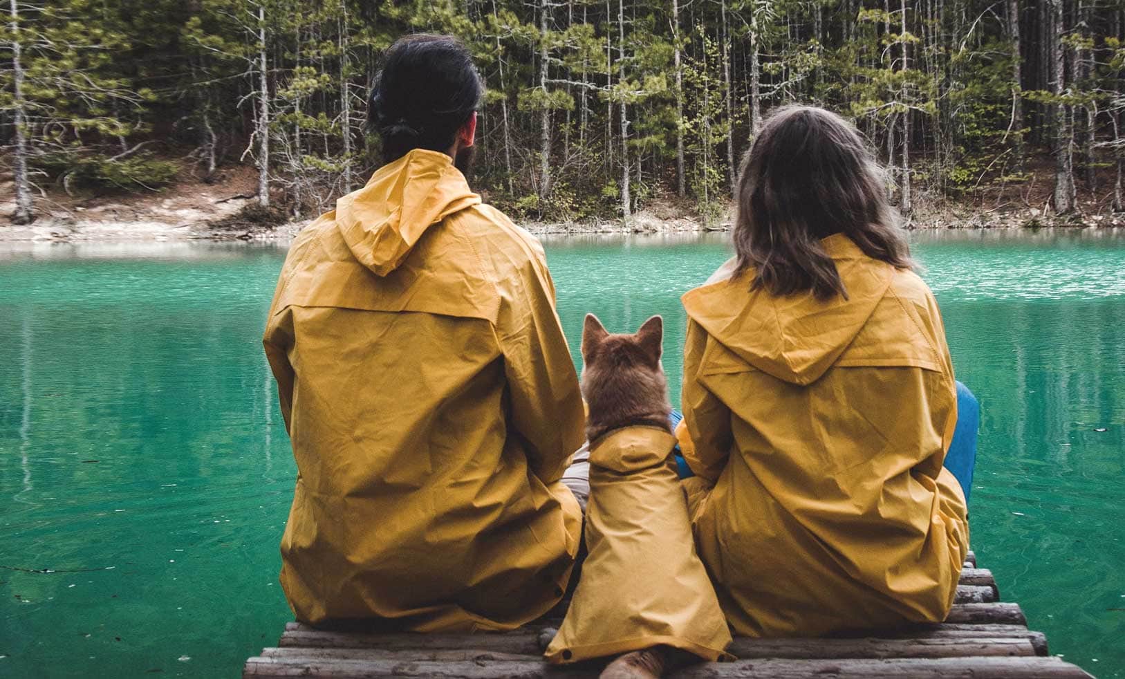 Titelseite 11 Titelseite -Schmuddelwedda Verkäufe 6465